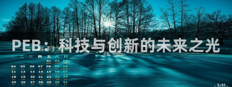天美娱乐平台登录线路：PEB：科技与创新的未来之光