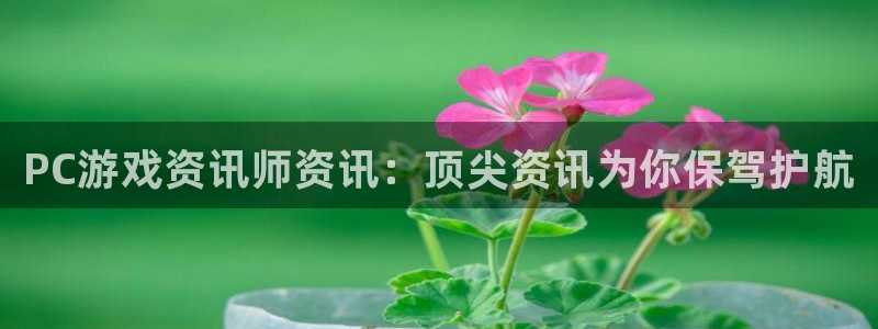 天美娱乐网页登录入口官网：PC游戏资讯师资讯：顶尖资讯为你保