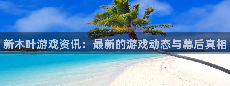 天美娱乐咨询：新木叶游戏资讯：最新的游戏动态与幕后真相