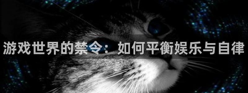 天美娱乐是什么：游戏世界的禁令：如何平衡娱乐与自律