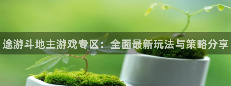 天美娱乐官方平台：途游斗地主游戏专区：全面最新玩法与策略分享